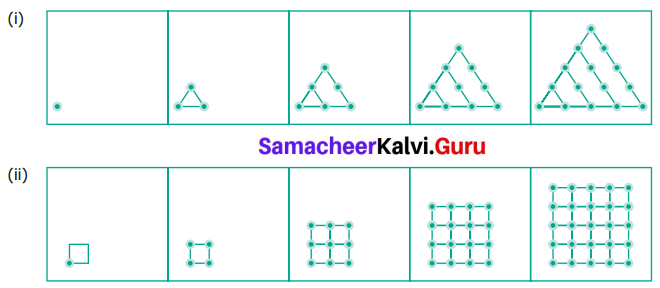 Samacheer Kalvi 6th Maths Solutions Term 1 Chapter 6 Information Processing Ex 6.3 Q2
