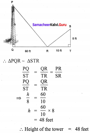 Samacheer Kalvi 8th Maths Term 1 Chapter 4 Geometry Ex 4.2 52
