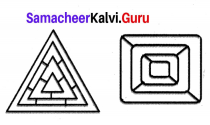Samacheer Kalvi 8th Maths Term 1 Chapter 5 Information Processing Ex 5.2 50