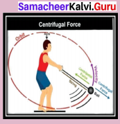Samacheer Kalvi 9th Science Solutions Chapter 2 Motion 7