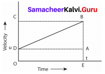 Samacheer Kalvi 9th Science Solutions Chapter 2 Motion 8