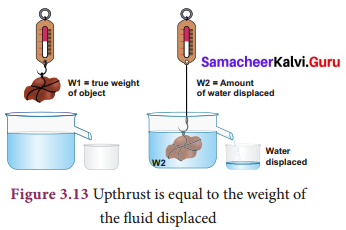 Samacheer Kalvi 9th Science Chapter 3 Fluids
