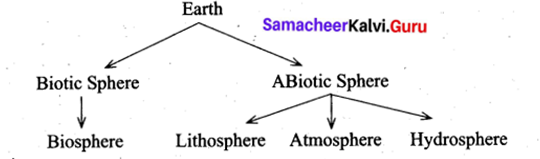 Samacheer Kalvi 9th Social Science Geography Chapter 1 Lithosphere - I Endogenetic Processes