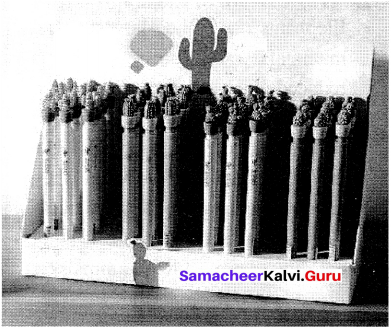 Samacheer Kalvi 10th English Picture Composition Interpretation 6