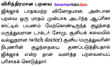 Zigzag Supplementary Characters Samacheer Kalvi 10th English Solutions Chapter 2