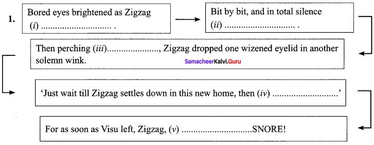 Zigzag Summary Samacheer Kalvi 10th English Solutions Supplementary Chapter 2