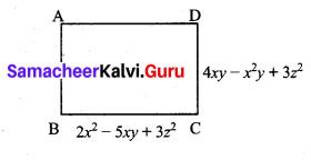 Samacheer Kalvi 7th Maths Solutions Term 2 Chapter 3 Algebra Ex 3.4 6