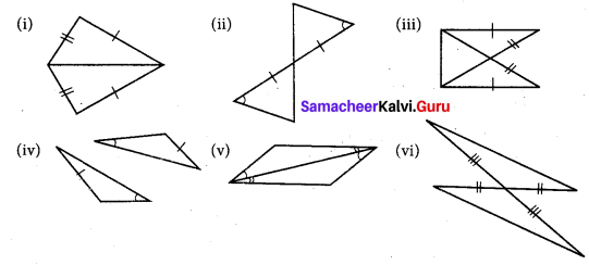 Samacheer Kalvi 7th Maths Solutions Term 2 Chapter 4 Geometry 4.2 18