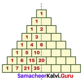 Samacheer Kalvi 7th Maths Solutions Term 2 Chapter 5 Information Processing Ex 5.2 5