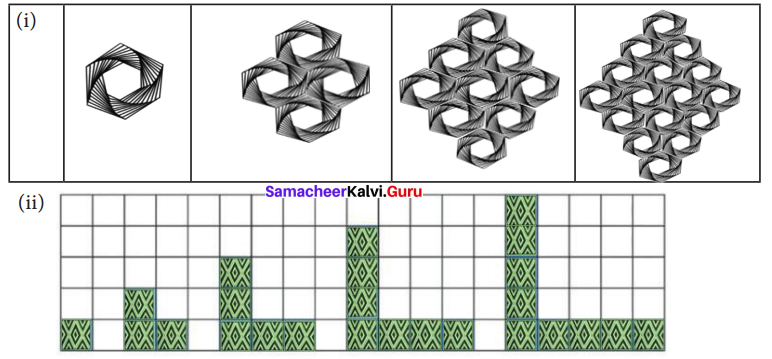 Samacheer Kalvi 7th Maths Solutions Term 2 Chapter 5 Information Processing Ex 5.3 6