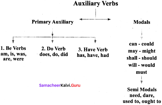 Samacheer Kalvi 9th English Grammar Auxiliaries Verbs 1