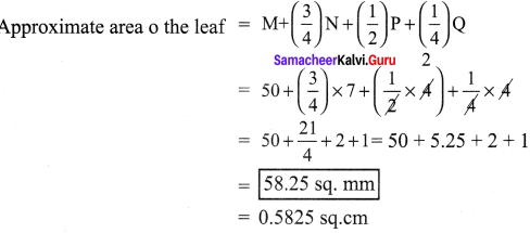 Samacheer Kalvi 7th Science Term 1 Chapter 1 Measurement