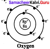 Atomic Structure Worksheet Answer Key 7th Grade Samacheer Kalvi Term 1 Chapter 4