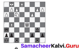 Samacheer Kalvi 7th Maths Solutions Term 3 Chapter 2 Percentage and Simple Interest Ex 2.1 2