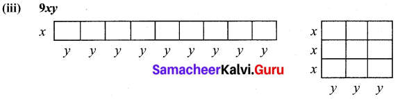 Samacheer Kalvi 7th Maths Solutions Term 3 Chapter 3 Algebra Intext Questions 3