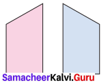 Samacheer Kalvi 7th Maths Solutions Term 3 Chapter 4 Geometry Ex 4.1 14