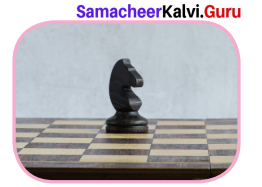 Samacheer Kalvi 7th Maths Solutions Term 3 Chapter 4 Geometry Ex 4.3 6