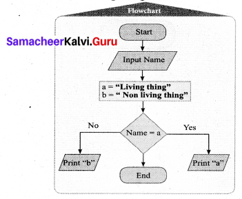 Samacheer Kalvi 7th Maths Solutions Term 3 Chapter 6 Information Processing Ex 6.1 11
