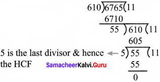 Samacheer Kalvi 8th Maths Solutions Term 2 Chapter 4 Information Processing Ex 4.2 3