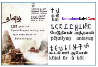 The Chair Prose Paragraph Samacheer Kalvi Chapter 5 The Status Of Tamil As A Classical Language