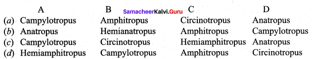 Botany Chapter 1 Class 12 Asexual And Sexual Reproduction In Plants Samacheer Kalvi 