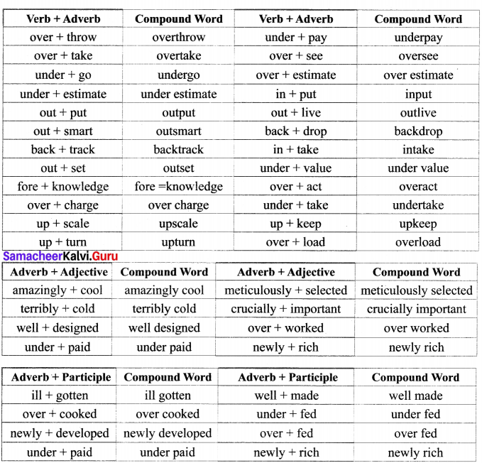 Samacheer Kalvi 12th English Vocabulary Compound Words 6