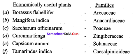 Samacheer Kalvi 12th Bio Botany Solutions Chapter 10 Economically Useful Plants and Entrepreneurial Botany