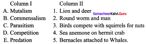 Samacheer Kalvi 12th Bio Zoology Solutions Chapter 10 Organisms and Population