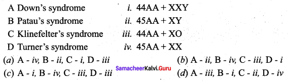 Samacheer Kalvi 12th Bio Zoology Solutions Chapter 4 Principles of Inheritance and Variation