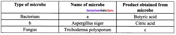 Samacheer Kalvi 12th Bio Zoology Solutions Chapter 8 Microbes in Human Welfare