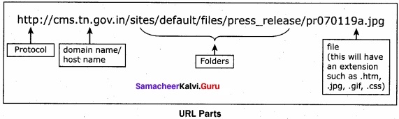 Samacheer Kalvi 12th Computer Applications Solutions Chapter 12 DNS (Domain Name System)