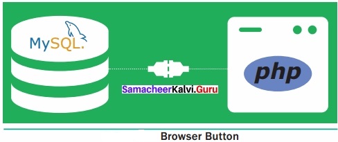 Samacheer Kalvi 12th Computer Applications Solutions Chapter 9 Connecting PHP and MYSQL 