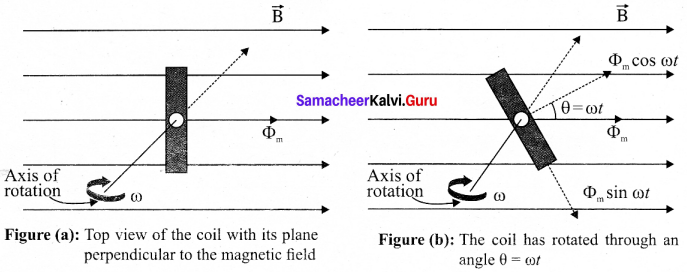 Tamil Nadu 12th Physics Model Question Paper 4 English Medium - 18