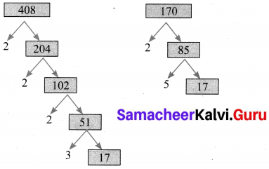 Exercise 2.2 Class 10 Maths Samacheer Kalvi Chapter 2 Numbers And Sequences 