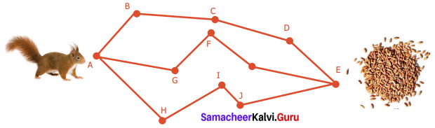 Samacheer Kalvi 6th Maths Solutions Term 2 Chapter 2 Measurements Ex 2.3 Q6