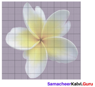 Samacheer Kalvi 6th Maths Solutions Term 3 Chapter 3 Perimeter and Area Ex 3.2 5