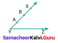 Samacheer Kalvi 6th Maths Term 1 Chapter 4 Geometry Ex 4.2 Q12