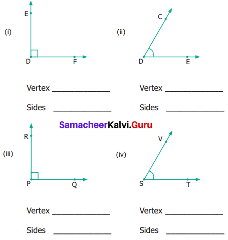 Samacheer Kalvi 6th Maths Term 1 Chapter 4 Geometry Ex 4.2 Q2