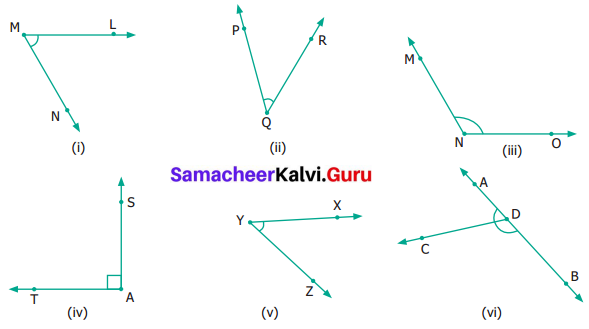 Samacheer Kalvi 6th Maths Term 1 Chapter 4 Geometry Ex 4.2 Q6