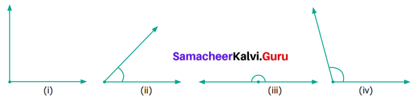 Samacheer Kalvi 6th Maths Term 1 Chapter 4 Geometry Ex 4.4 Q4