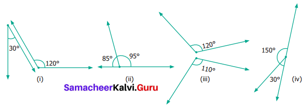 Samacheer Kalvi 6th Maths Term 1 Chapter 4 Geometry Ex 4.4 Q7