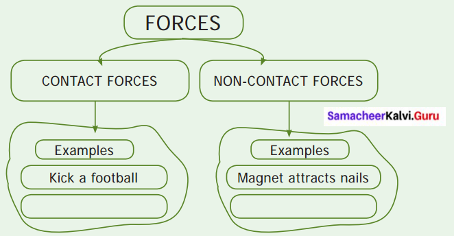 Samacheer Kalvi 6th Science Solutions Term 1 Chapter 2 Force and Motion 13