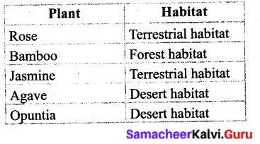 Samacheer Kalvi 6th Science Solutions Term 1 Chapter 4 The Living World of Plants 7