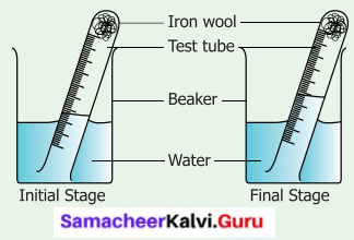 Samacheer Kalvi 6th Standard Science Solutions Term 2 Chapter 4 Air