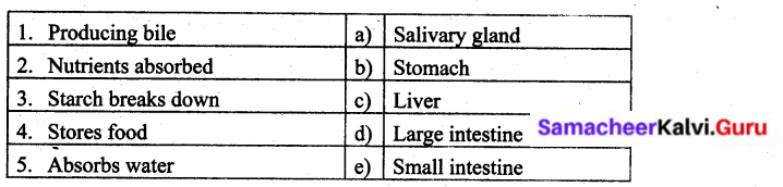 Chapter 6 The Human Body Answers Samacheer Kalvi 6th Science Solutions Term 2