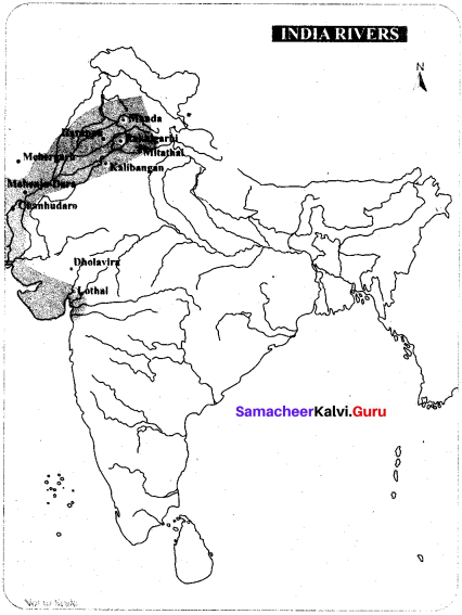 Indus Civilization Belongs To Samacheer Kalvi 6th  Social Science History Solutions Term 1 Chapter 3 