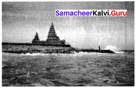 Ancient Cities Of Tamil Nadu Samacheer Kalvi 6th Social Science History Solutions Term 1 Chapter 4