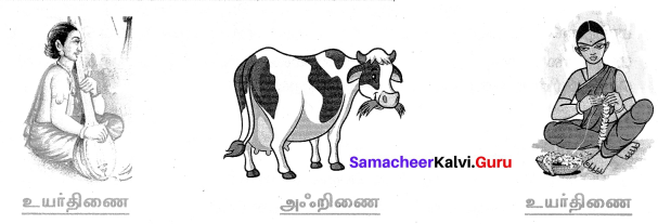 Samacheer Kalvi 7th Tamil Solutions Term 1 Chapter 1.5 குற்றியலுகரம், குற்றியலிகரம் - 6
