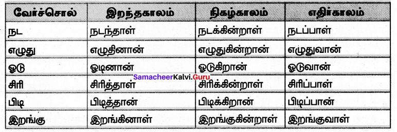 Samacheer Kalvi 7th Tamil Solutions Term 2 Chapter 1.5 இலக்கியவகைச் சொற்கள் - 1