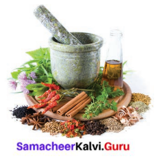 Samacheer Kalvi 8th Tamil Solutions Chapter 3.5 எச்சம் 1